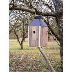 Sort Mini 'Birdy Sleep' Fuglehus (genb. tr)