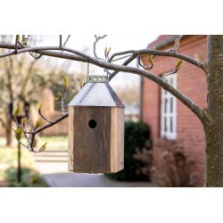 Galvaniseret Mini 'Birdy Sleep' Fuglehus (genb. tr)