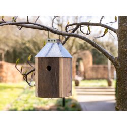 Galvaniseret Mini 'Birdy Sleep' Fuglehus (genb. tr)