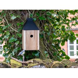 Sort Mini 'Birdy Sleep Wall' Fuglehus (genb. tr)