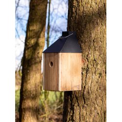 Sort Mini 'Birdy Sleep Wall' Fuglehus (genb. tr)