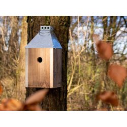 Galvaniseret Mini 'Birdy Sleep Wall' Fuglehus (genb. tr)