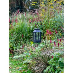 Mega Sort spyd t. Micro Lanterner