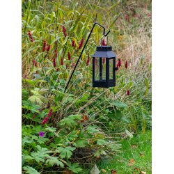 Mega Sort spyd t. Micro Lanterner