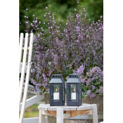 Sort Micro Small Lanterne