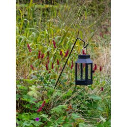 Sort Micro Small Lanterne