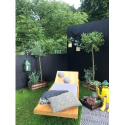 Olivengrn Mini Vglanterne