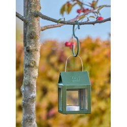 Maxi Olivengrn S-Krog (st m. 4 stk. / 1 str.)