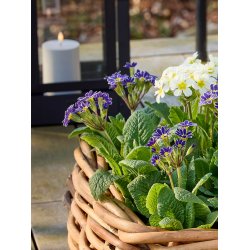 LED Bloklys (7,5 x 12,5 cm) - Matt/Warm Greige