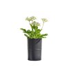 Sort Opsats/Vase (til LED Bloklys i 10 cm)