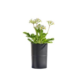 Sort Opsats/Vase (til LED Bloklys i 10 cm)