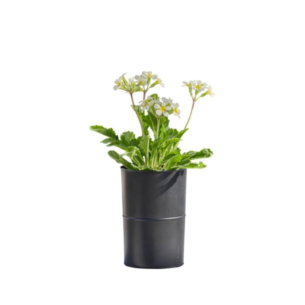 Sort Opsats/Vase (til LED Bloklys i 10 cm)