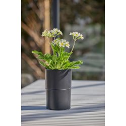 Sort Opsats/Vase (til LED Bloklys i 10 cm)