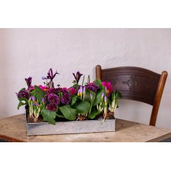 Lav Bundbakke t. Mini Vksthus