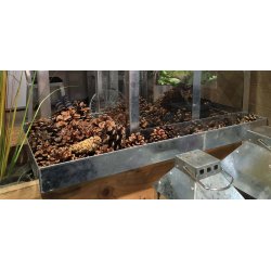 Lav Bundbakke t. Maxi Vksthus