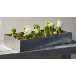 Hj Bundbakke t. Maxi Vksthus