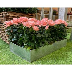 Galvaniseret Rektangulr Plantebakke (st m. 3 stk. / 3 str.)