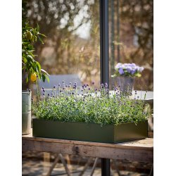 Olivengrn Rektangulr Plantebakke (st m. 3 stk. / 3 str.)