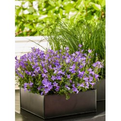 Sort Firkantet Plantebakke (st m. 3 stk. / 3 str.)