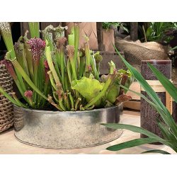 Galvaniseret Rund Plantebakke (st m. 2 stk. / 2 str.)