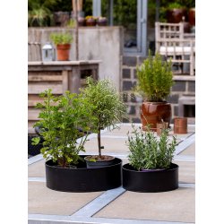 Sort Rund Plantebakke (st m. 2 stk. / 2 str.)