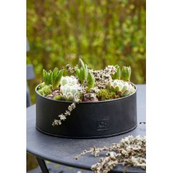 Sort Rund Plantebakke (st m. 2 stk. / 2 str.)