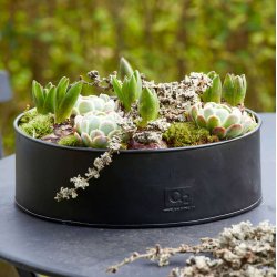 Sort Rund Plantebakke (st m. 2 stk. / 2 str.)