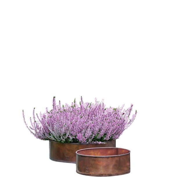 'Kobber-look' Rund Plantebakke (st m. 2 stk. / 2 str.)