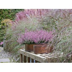 'Kobber-look' Rund Plantebakke (st m. 2 stk. / 2 str.)