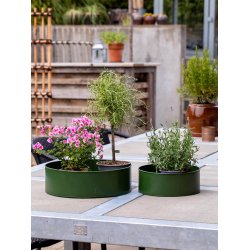 Olivengrn Rund Plantebakke (st m. 2 stk. / 2 str.)