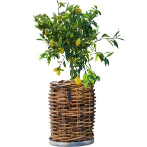 Galvaniseret Mini Rund Bundbakke (t. Rattankurv)