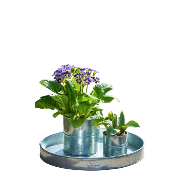 Galvaniseret Mini Rund Bundbakke (t. Rattankurv)