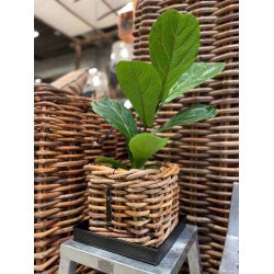 Sort Mini Firkantet Bundbakke (t. Rattankurv)