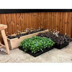 Sort Maxi Firkantet Bundbakke (t. Rattankurv)