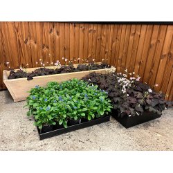 Sort Mega Firkantet Bundbakke (t. Rattankurv)