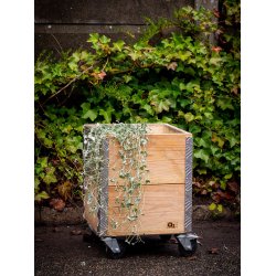 Galv. Quadro Plantebakke (t. Quadro Kasse)