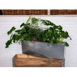 Galv. Aflang Plantebakke (t. Aflang Kasse)