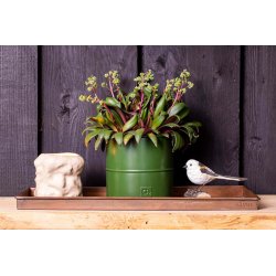 'Kobber-look' Rekt. Dekobakke (st m. 3 stk. / 3 str.)