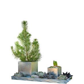 Galvaniseret Mini Rektangulr Dekobakke