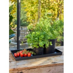 Sort Mini Rektangulr Dekobakke