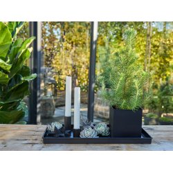 Sort Mini Rektangulr Dekobakke