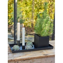 Sort Mini Rektangulr Dekobakke