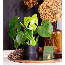 'Kobber-look' Rund Dekobakke (st m. 2 stk. / 2 str.)