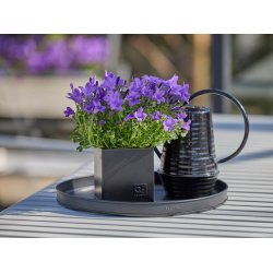 Sort Mini Rund Dekobakke