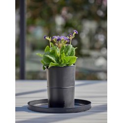 Sort Mini Rund Dekobakke