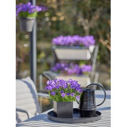 Sort Mini Rund Dekobakke