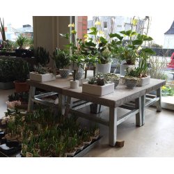 Galvaniseret Loungebord m. betonflise