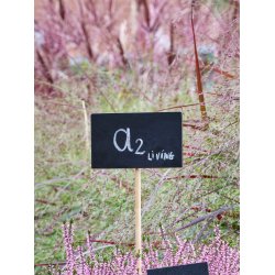 Maxi Kridttavle Skilt (pakke m. 12 stk.)