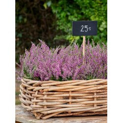 Maxi Kridttavle Skilt (pakke m. 12 stk.)