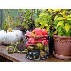 Micro Rund Trdkurv (m. stort hndtag)